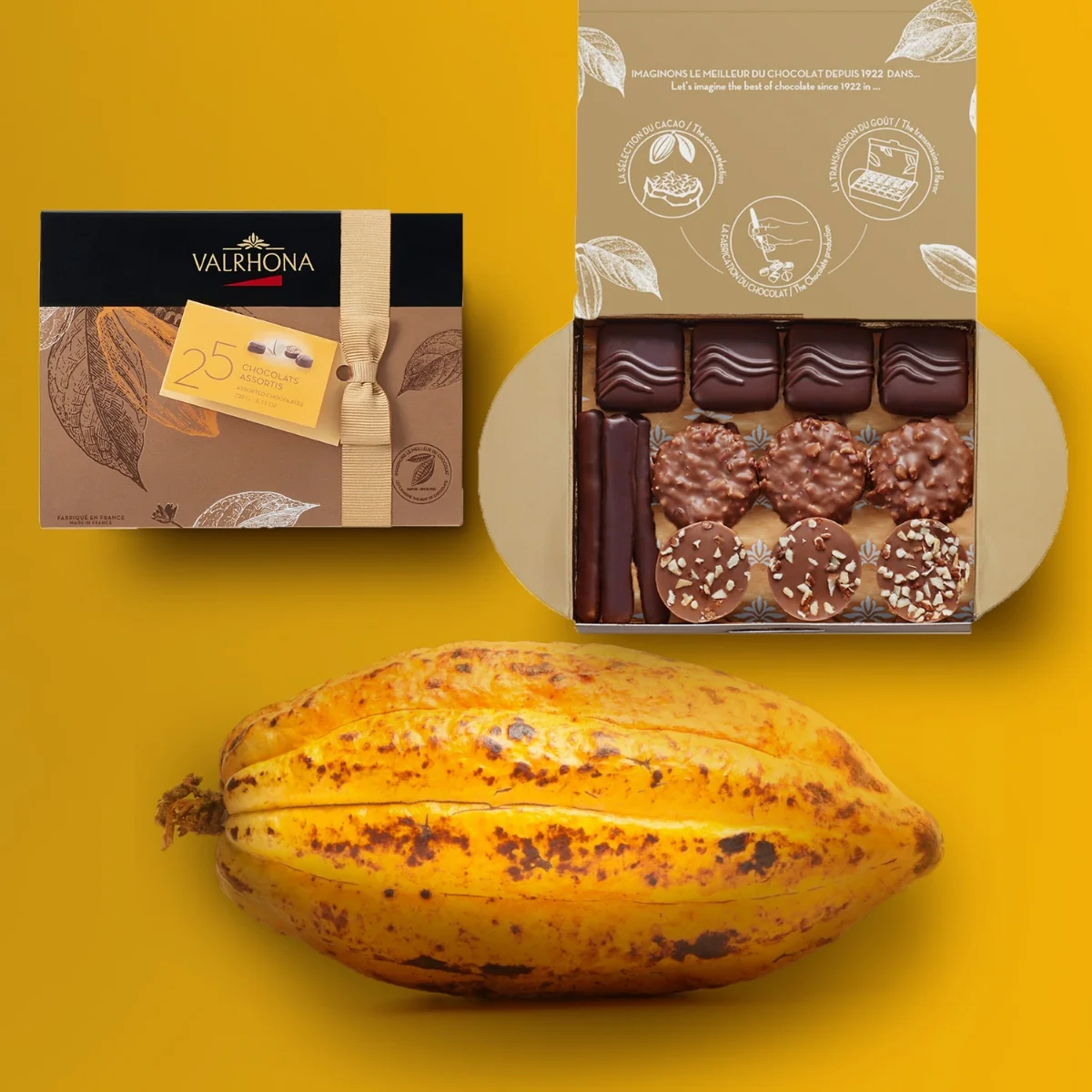 Ballotin 25 bonbons de chocolat assortis - 8 variétés - Image 4