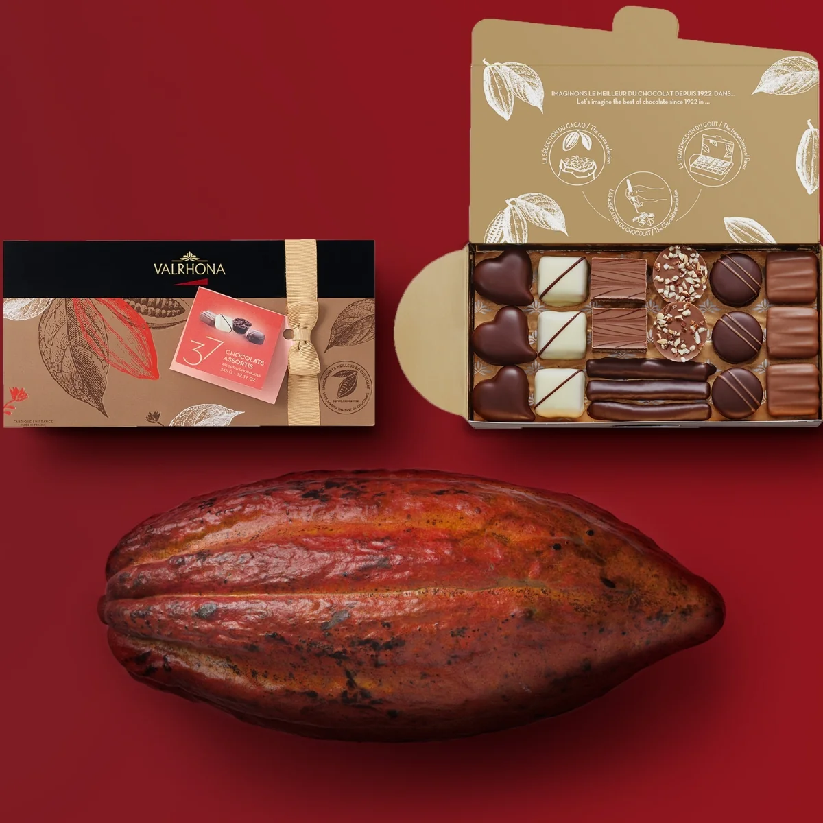 Ballotin 37 bonbons de chocolat assortis - 13 variétés - Image 4