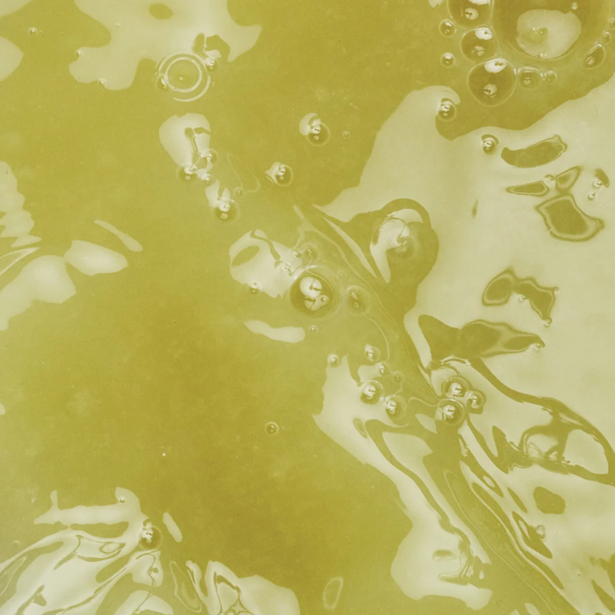 Purée de citron vert réfrigérée - 2 x 1kg - Image 2