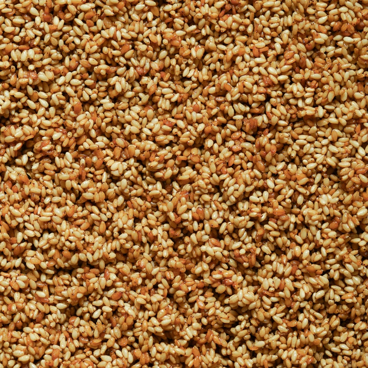 Sésame caramélisé - 160g - Image 2