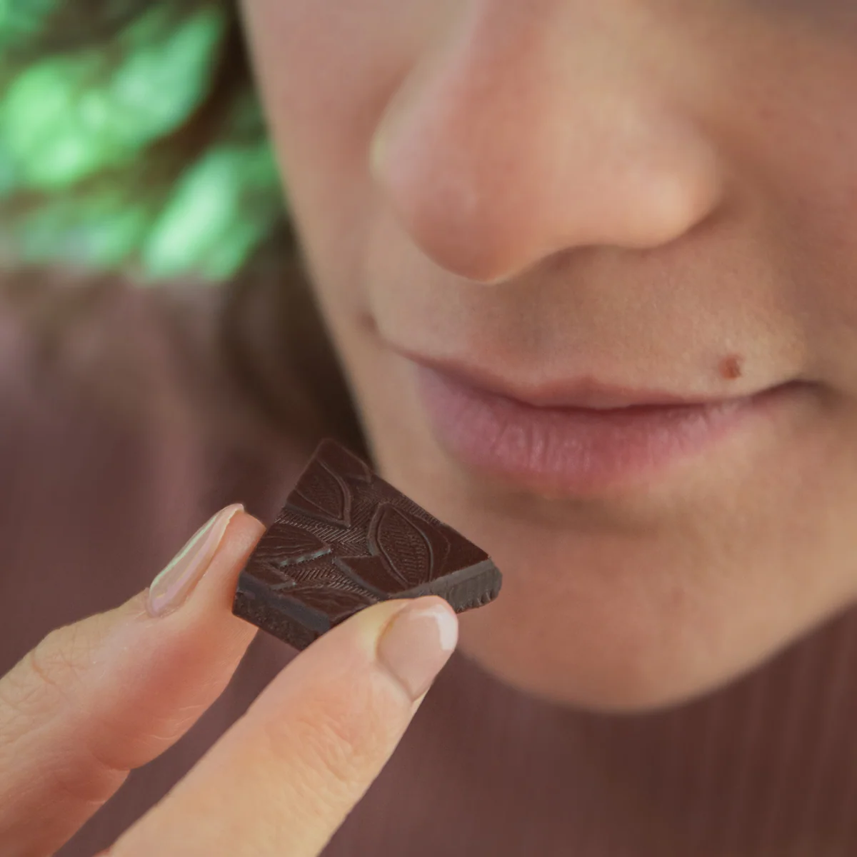 Tablette chocolat noir Caraïbe 66% - 70g - Image 5